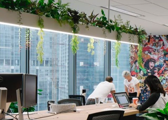 12 Indoor Lighting Ideas to Brighten Up Your Office 10 Indoor Plant Lighting