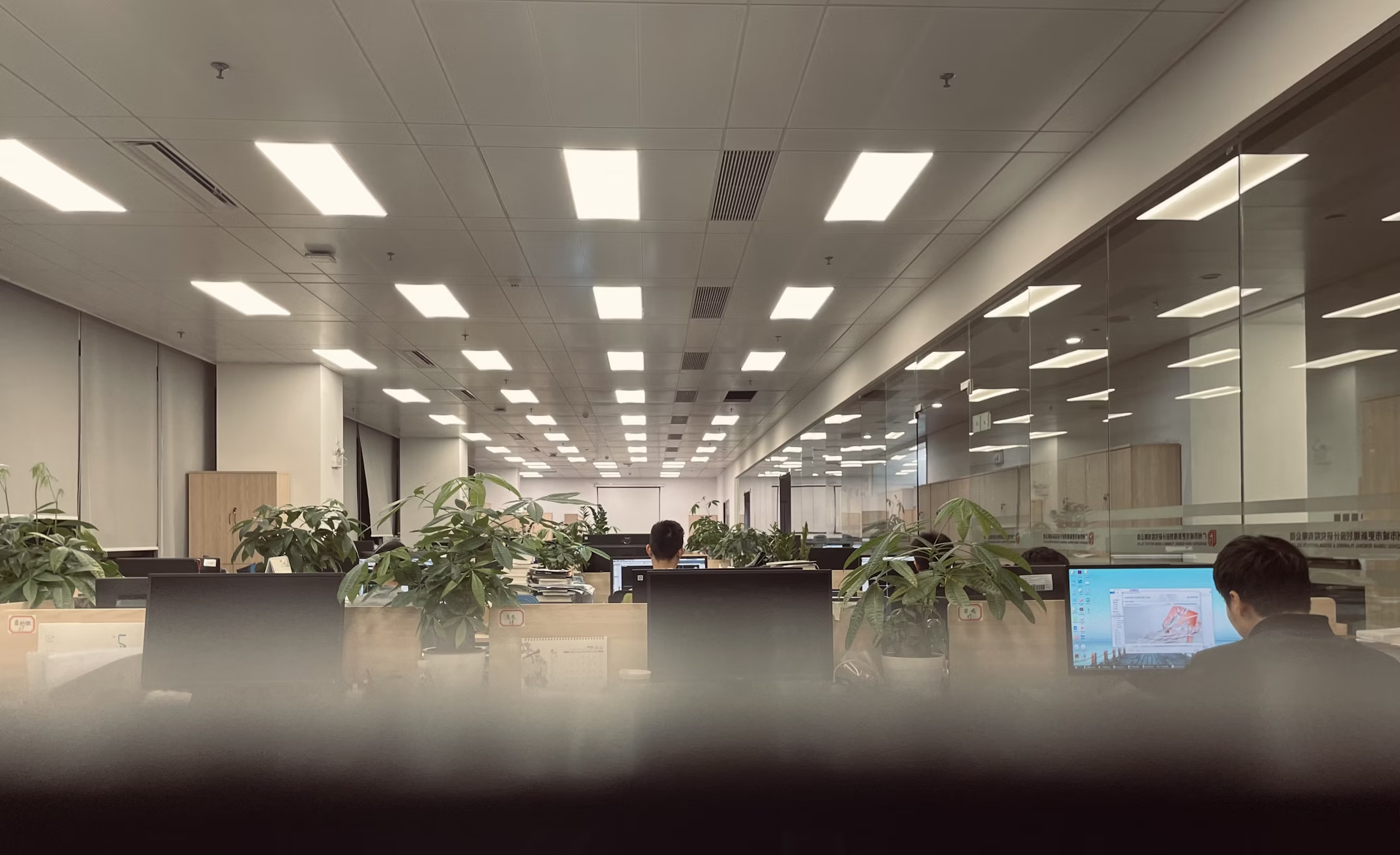 A large office space featuring employees at desks, all well lit by modern led panel lights.