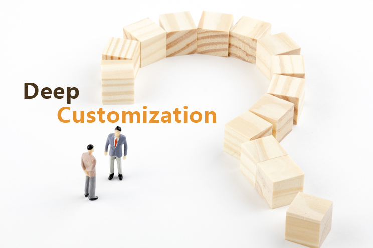 What is deep customization of LED products? 1 DINZHI
