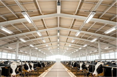 Farm Lighting 8 bd93bf13c64def82ec30b025019e7a59