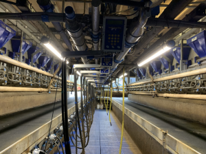 Applicazione di luce tubolare IP69K per industria e lavorazione Luogo 1 blog 2