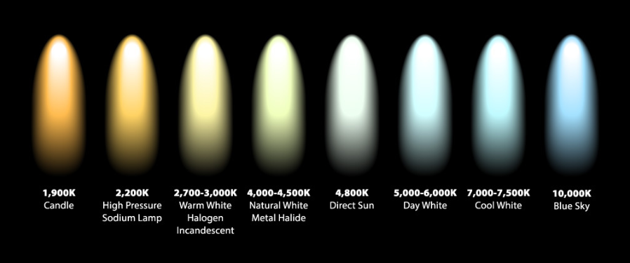 What Is The Best Color Temperature for LED Office Lighting? 5 blog 242