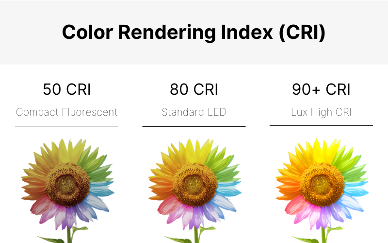 Accurate Colors, Better Spaces: The Power of Color Rendering Index in Lighting 1 Color Rendering Index
