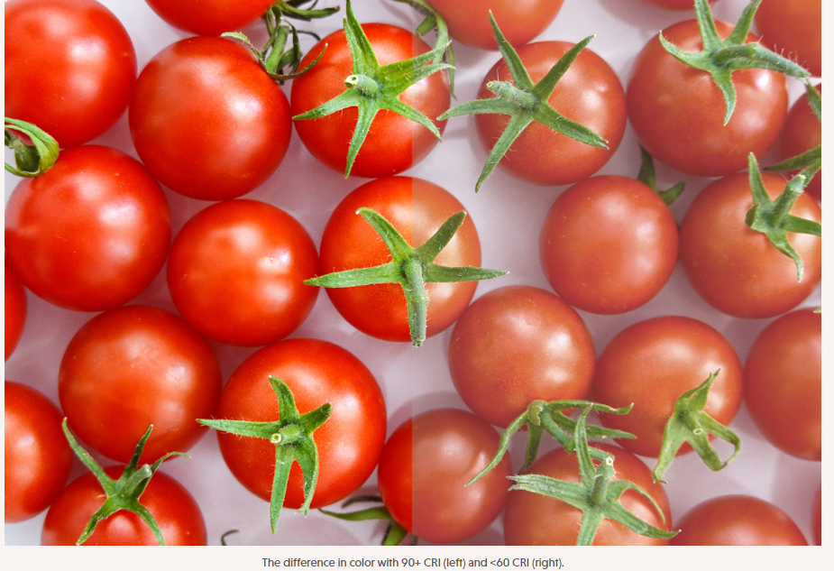 Accurate Colors, Better Spaces: The Power of Color Rendering Index in Lighting 5 blog 325