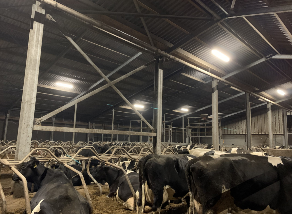 Soluzioni di illuminazione agricola per una migliore esperienza agricola 1 Illuminazione agricola