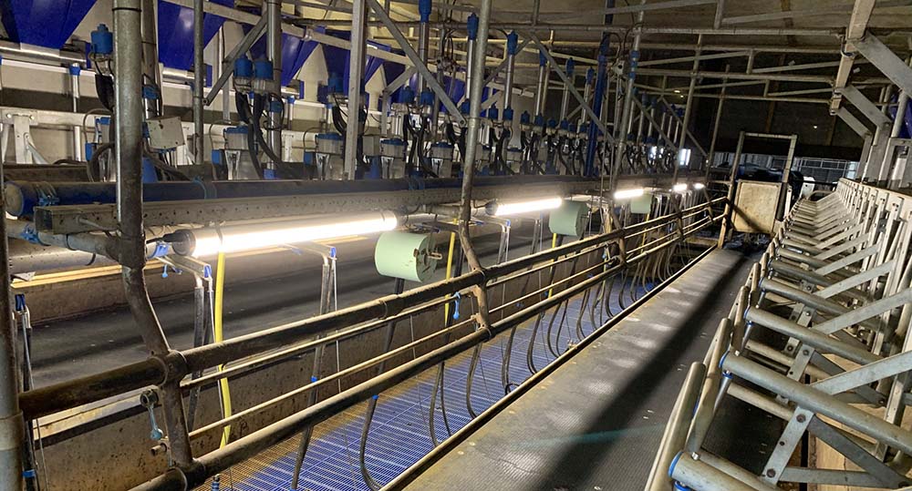Farm Lighting 12 LED Lighting Solutions for Farms